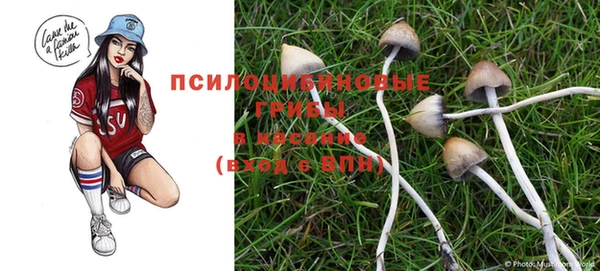 COCAINE Арсеньев